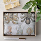 Ernst Haeckel Squids en Octopus Poster Tissuepapier (Geschenk)