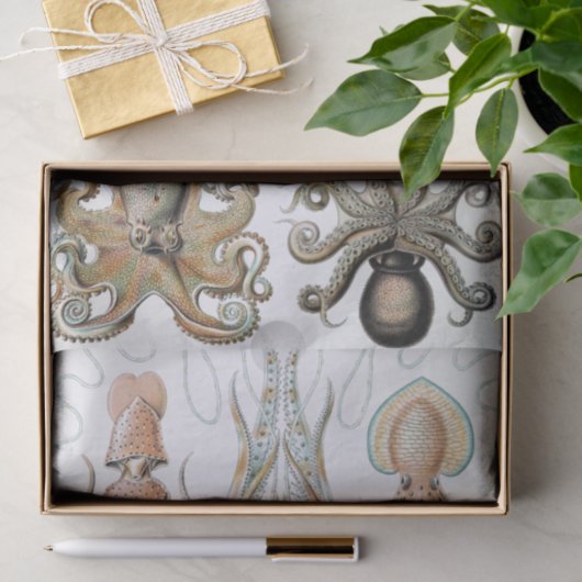 Ernst Haeckel Squids en Octopus Poster Tissuepapier (Geschenk)