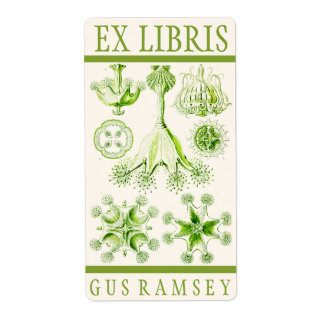 Ernst Haeckel Stauromedusae Boekplaat Etiket