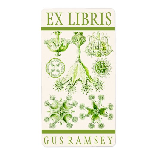 Ernst Haeckel Stauromedusae Boekplaat Etiket (Voorkant)