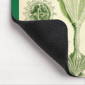 Ernst Haeckel - Stauromedusae Jellyfish Muismat (Hoek)