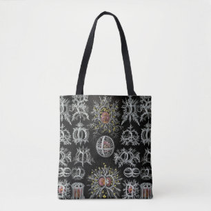  Ernst Haeckel Stephoidea Tote Bag