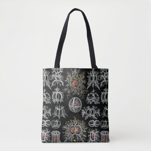  Ernst Haeckel Stephoidea Tote Bag (Voorkant)
