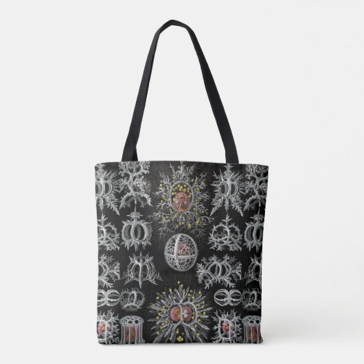  Ernst Haeckel Stephoidea Tote Bag (Achterkant)