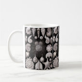 Ernst Haeckel Thalamophora I Koffiemok (Links)