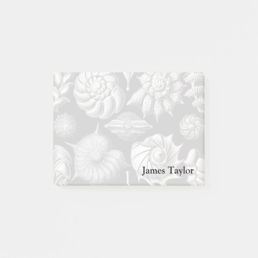 Ernst Haeckel Thalamophora II Post-it® Notes (Voorkant)