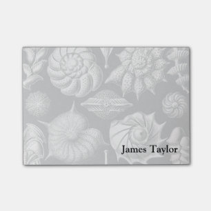 Ernst Haeckel Thalamophora II Post-it® Notes