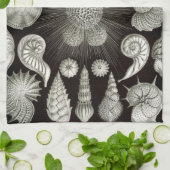 Ernst Haeckel Thalamphora Shells Tea Towel Theedoek (Gevouwen)