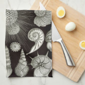 Ernst Haeckel Thalamphora Shells Tea Towel Theedoek (Quarter Fold)