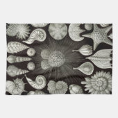 Ernst Haeckel Thalamphora Shells Tea Towel Theedoek (Horizontaal)