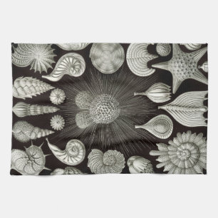 Ernst Haeckel Thalamphora Shells Tea Towel Theedoek
