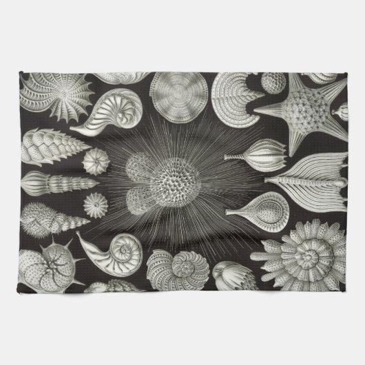 Ernst Haeckel Thalamphora Shells Tea Towel Theedoek (Horizontaal)