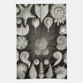 Ernst Haeckel Thalamphora Shells Tea Towel Theedoek (Verticaal)