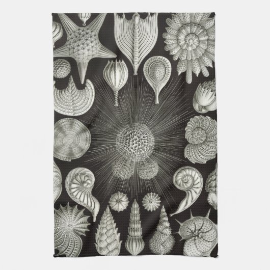 Ernst Haeckel Thalamphora Shells Tea Towel Theedoek (Verticaal)