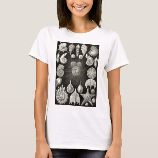 Ernst Haeckel Thalamphora T-shirt