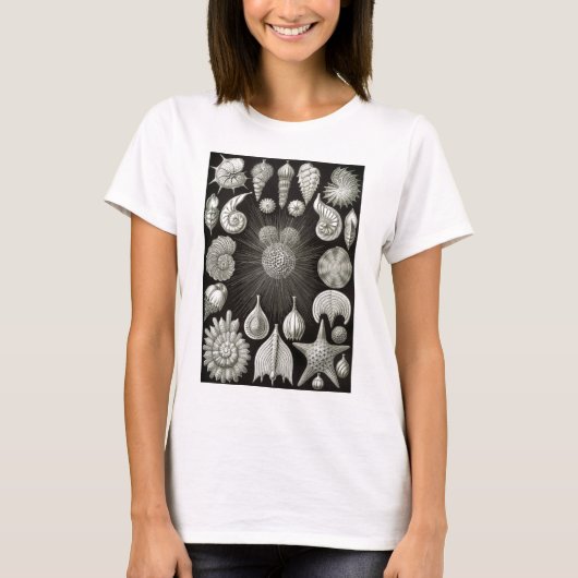 Ernst Haeckel Thalamphora T-shirt (Voorkant)