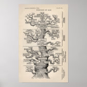 Ernst Haeckel Tree of Life Pedigree of Man Evoluti Poster (Voorkant)