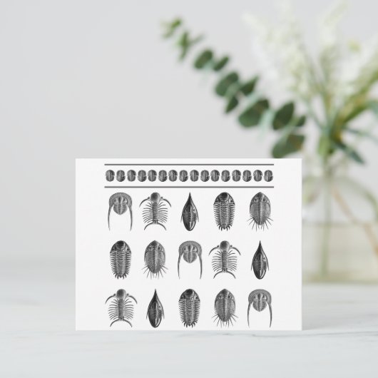 Ernst Haeckel Trilobite Pattern - groot Briefkaart (Staand voorkant)