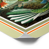 Ernst Haeckel "Trochilidae" 12 x 16 print (Hoek)