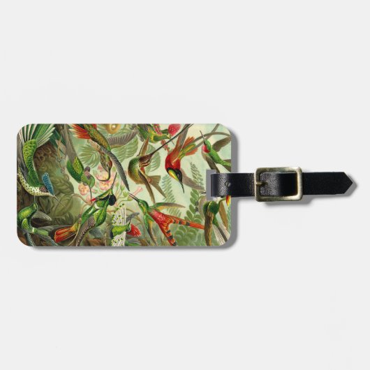 Ernst Haeckel Trochilidae Hummingbird Bagagelabel (Voorkant horizontaal)