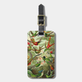 Ernst Haeckel Trochilidae Hummingbird Bagagelabel