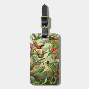 Ernst Haeckel Trochilidae Hummingbird Bagagelabel