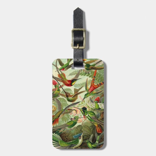 Ernst Haeckel Trochilidae Hummingbird Bagagelabel (Voorkant verticaal)
