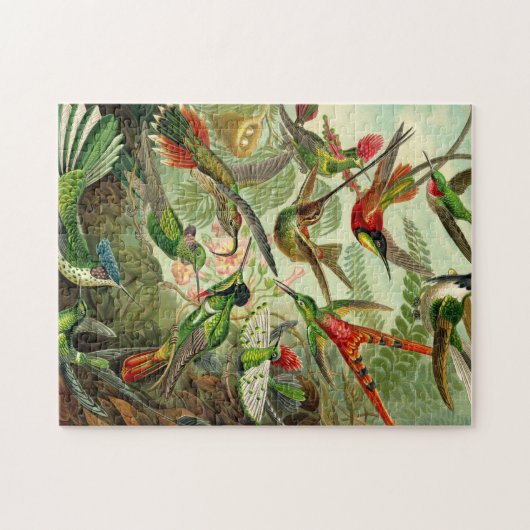 Ernst Haeckel Trochilidae Hummingbird Legpuzzel (Horizontaal)