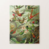 Ernst Haeckel Trochilidae Hummingbird Legpuzzel (Verticaal)