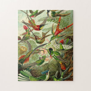 Ernst Haeckel Trochilidae Hummingbird Legpuzzel