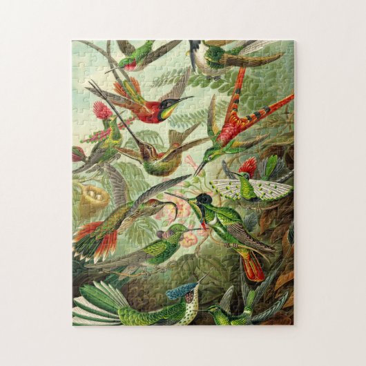 Ernst Haeckel Trochilidae Hummingbird Legpuzzel (Verticaal)