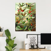 Ernst Haeckel - Trochilidae Hummingbird Poster (Thuiskantoor)