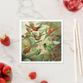 Ernst Haeckel Trochilidae Hummingbird Servet (Insitu)