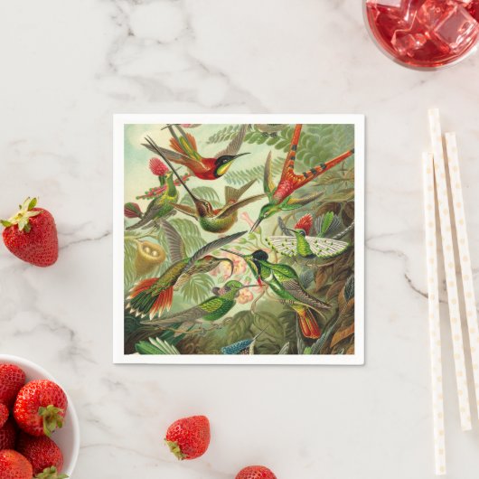 Ernst Haeckel Trochilidae Hummingbird Servet (Insitu)