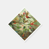 Ernst Haeckel Trochilidae Hummingbird Servet (Hoek)