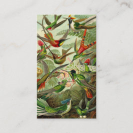 Ernst Haeckel Trochilidae Hummingbird Visitekaartje