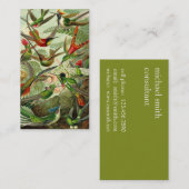 Ernst Haeckel Trochilidae Hummingbird Visitekaartje (Voorkant / Achterkant)