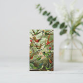 Ernst Haeckel Trochilidae Hummingbird Visitekaartje (Staand voorkant)