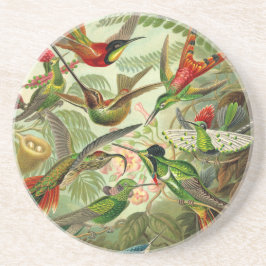 Ernst Haeckel Trochilidae Hummingbird Zandsteen Onderzetter