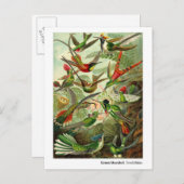 Ernst Haeckel Trochilidae Kolibries Nieuw Adres Aankondigingskaart (Voorkant / Achterkant)