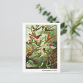 Ernst Haeckel Trochilidae Kolibries Nieuw Adres Aankondigingskaart (Staand voorkant)