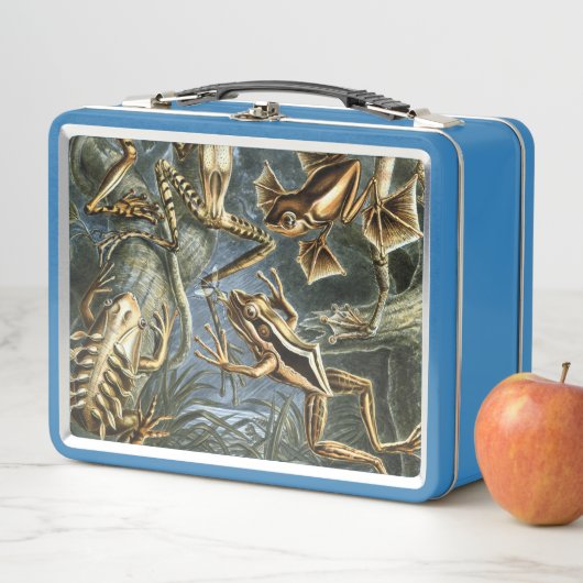 Ernst Haeckel variëteit exotische kikkers:Batrachi (In situ)