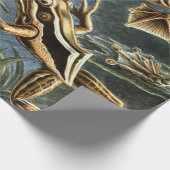 Ernst Haeckel variëteit exotische kikkers:Batrachi Cadeaupapier (Hoek)