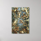 Ernst Haeckel variëteit exotische kikkers:Batrachi Canvas Afdruk (Voorkant)