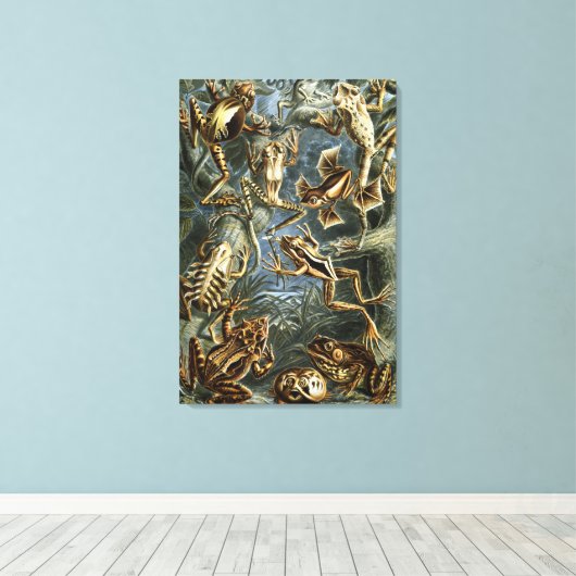 Ernst Haeckel variëteit exotische kikkers:Batrachi Canvas Afdruk (Insitu (Houten vloer))