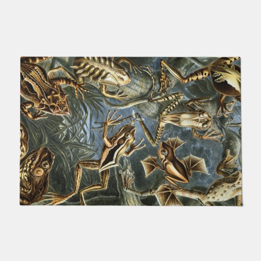 Ernst Haeckel variëteit exotische kikkers:Batrachi Deurmat (Voorkant)