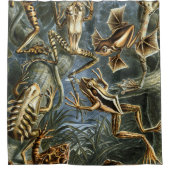 Ernst Haeckel variëteit exotische kikkers:Batrachi Douchegordijn (Voorkant)