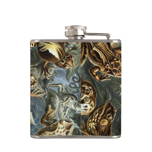 Ernst Haeckel variëteit exotische kikkers:Batrachi Heupfles (Achterkant)