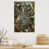 Ernst Haeckel variëteit exotische kikkers:Batrachi Poster (Keuken)