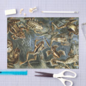 Ernst Haeckel variëteit exotische kikkers:Batrachi Tissuepapier (Craft)